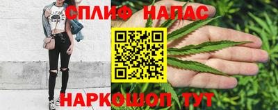 СК Гагарин