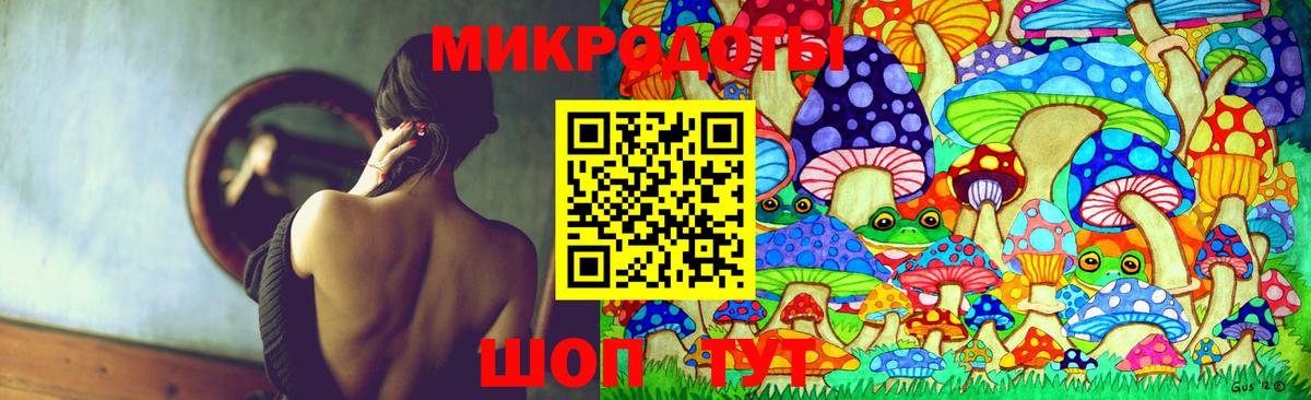 Галлюциногенные грибы GOLDEN TEACHER  где найти наркотики  Иркутск  Галлюциногенные грибы Psilocybine cubensis  Вход с VPN 